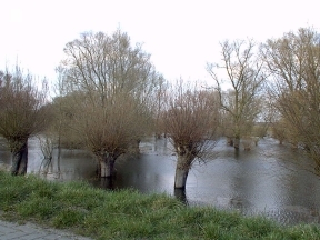 Deichniederung im Mai 2001,  Hochwasser Blick nach Norden