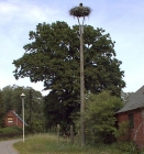 Die Dorfstrasse zwischen der Dorfstrasse auf dem Deich und der Dorfstrasse unten. Hier sind unsere Störche zuhause und dies ist auch der Weg zur Kirche.